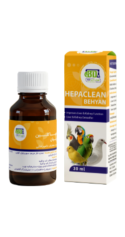 هپاکلین بهیان پرندگان زینتی (Hepaclean) قطره پاکسازی و درمان کبد چرب